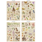 STAMPERIA ALL AROUND JUNK JOURNAL - SBJK20 - Изображение 2