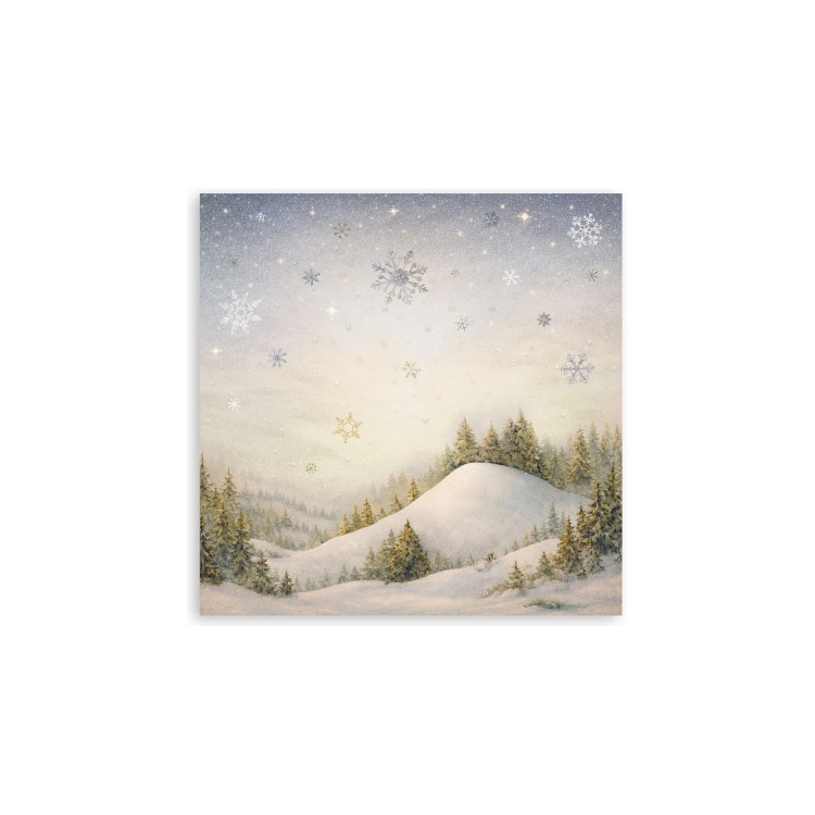 STAMPERIA SILENT NIGHT БЛОКЧЕ ХАРТИЯ 20,3/20,3 СМ - SBBSXB28 - Изображение 13