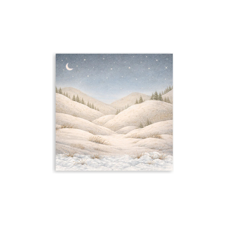 STAMPERIA SILENT NIGHT БЛОКЧЕ ХАРТИЯ 20,3/20,3 СМ - SBBSXB28 - Изображение 11